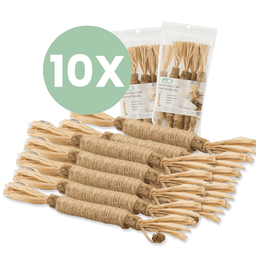 DentaSticks