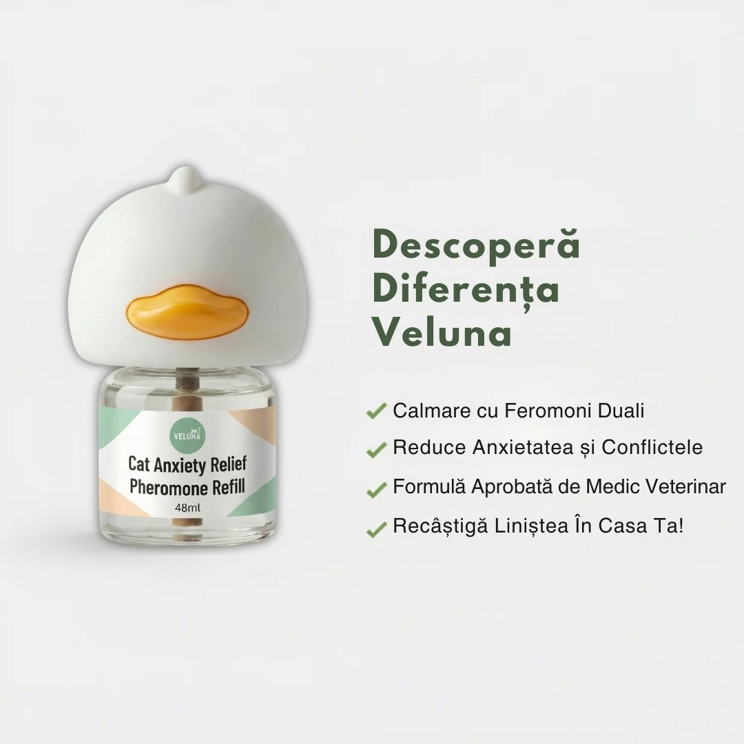 Difuzor Cu Feromoni Pentru Reducerea Anxietății La Pisici
