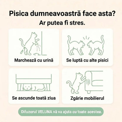 Veluna Difuzor cu Feromoni pentru Pisici