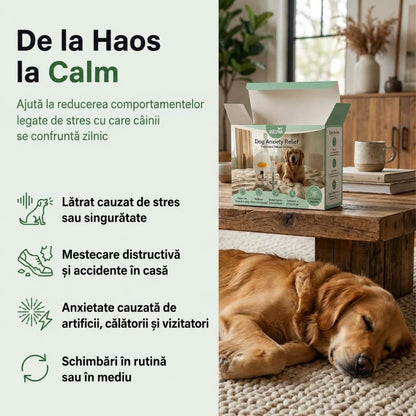 Veluna Difuzor cu Feromoni pentru Câini