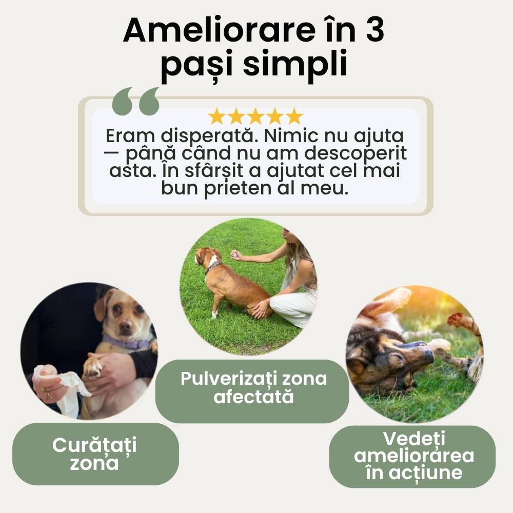 Veluna Spray pentru pielea câinilor aprobat de veterinar