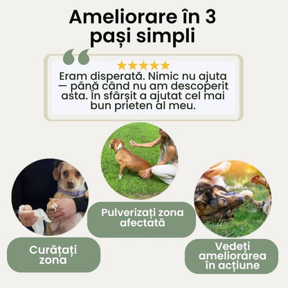 Veluna Spray pentru pielea câinilor aprobat de veterinar