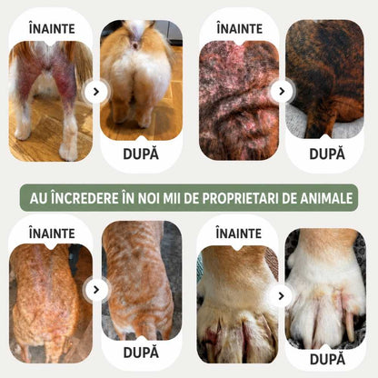 Veluna Spray pentru pielea câinilor aprobat de veterinar