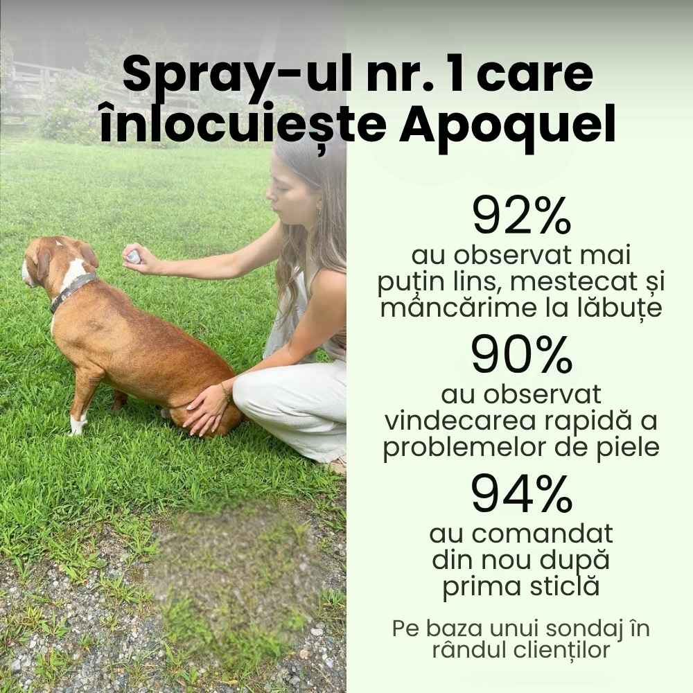 Veluna Spray pentru pielea câinilor aprobat de veterinar