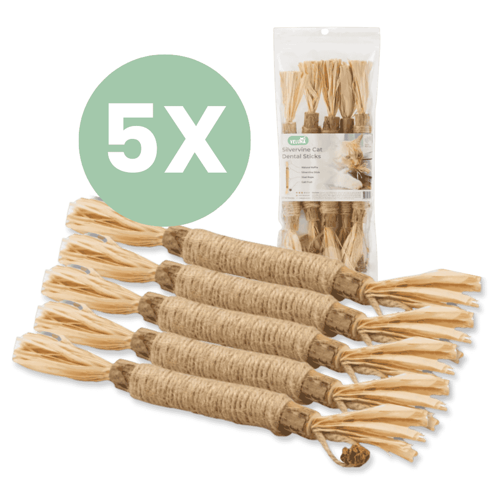 DentaSticks