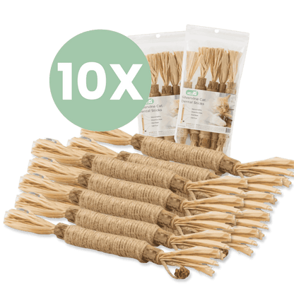 DentaSticks