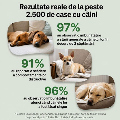 Veluna Difuzor cu Feromoni pentru Câini