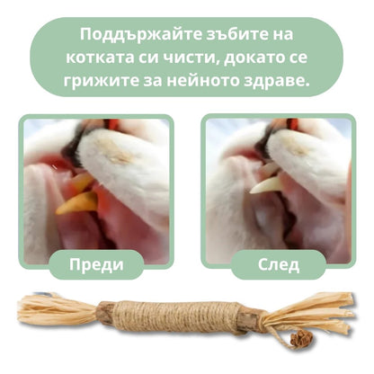 DentaSticks