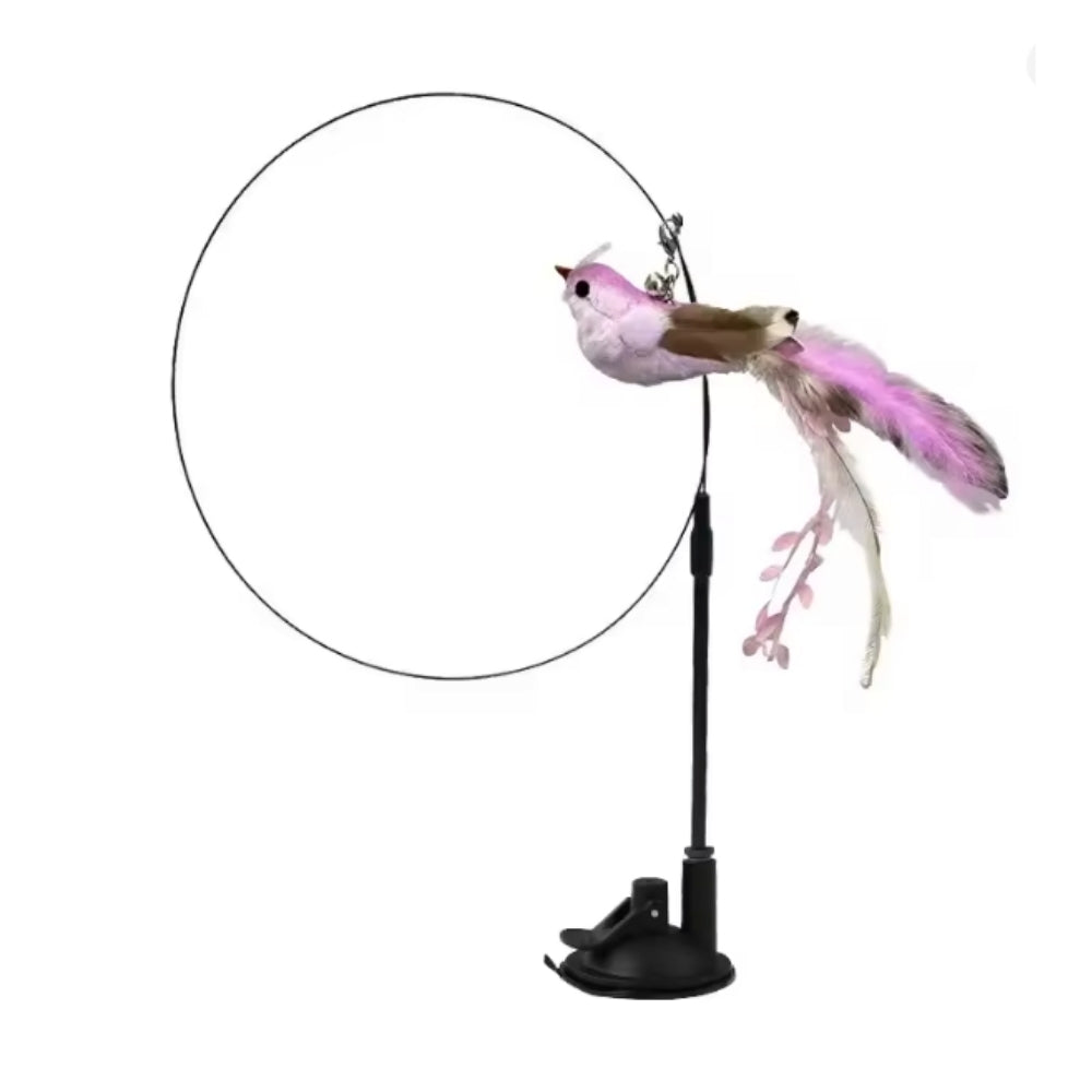 Jucărie interactivă pentru pisici cu pene, suspendată și elastică