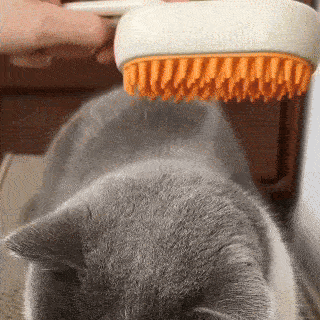Veluna Steam Brush pentru Pisici