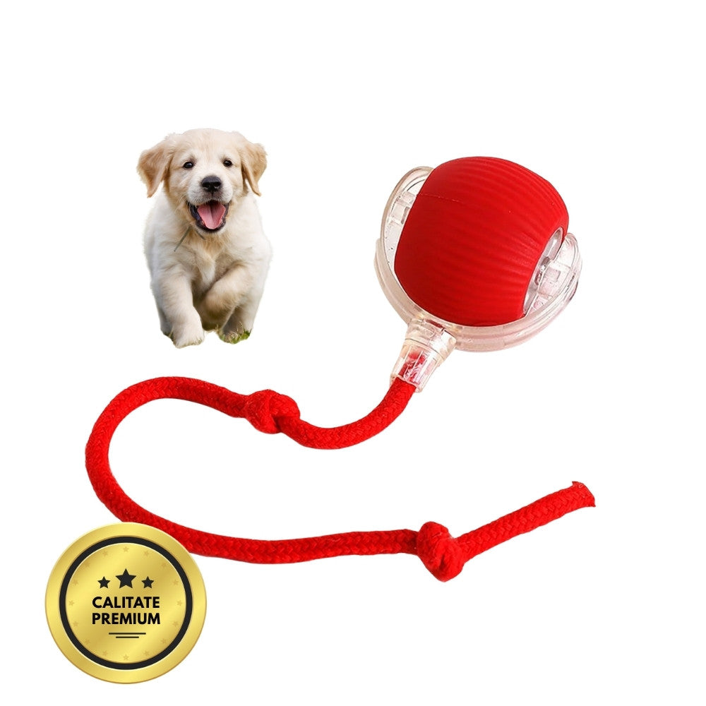 Minge inteligentă și interactivă pentru câinele tău – se încarcă prin USB