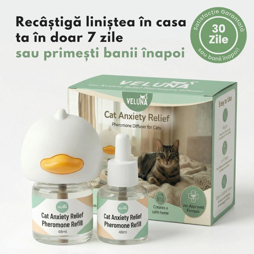 Difuzor Cu Feromoni Pentru Reducerea Anxietății La Pisici