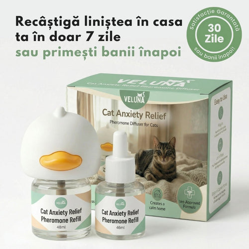 Difuzor Cu Feromoni Pentru Reducerea Anxietății La Pisici