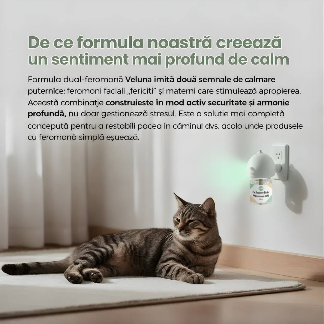 Difuzor Cu Feromoni Pentru Reducerea Anxietății La Pisici