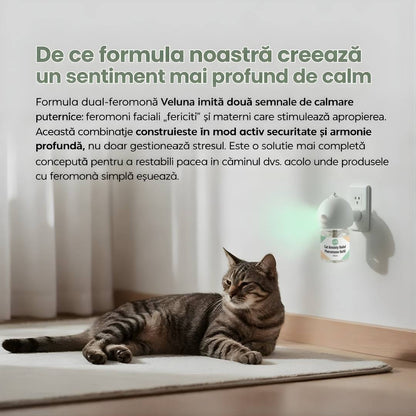 Difuzor Cu Feromoni Pentru Reducerea Anxietății La Pisici