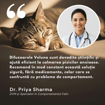 Difuzor Cu Feromoni Pentru Reducerea Anxietății La Pisici