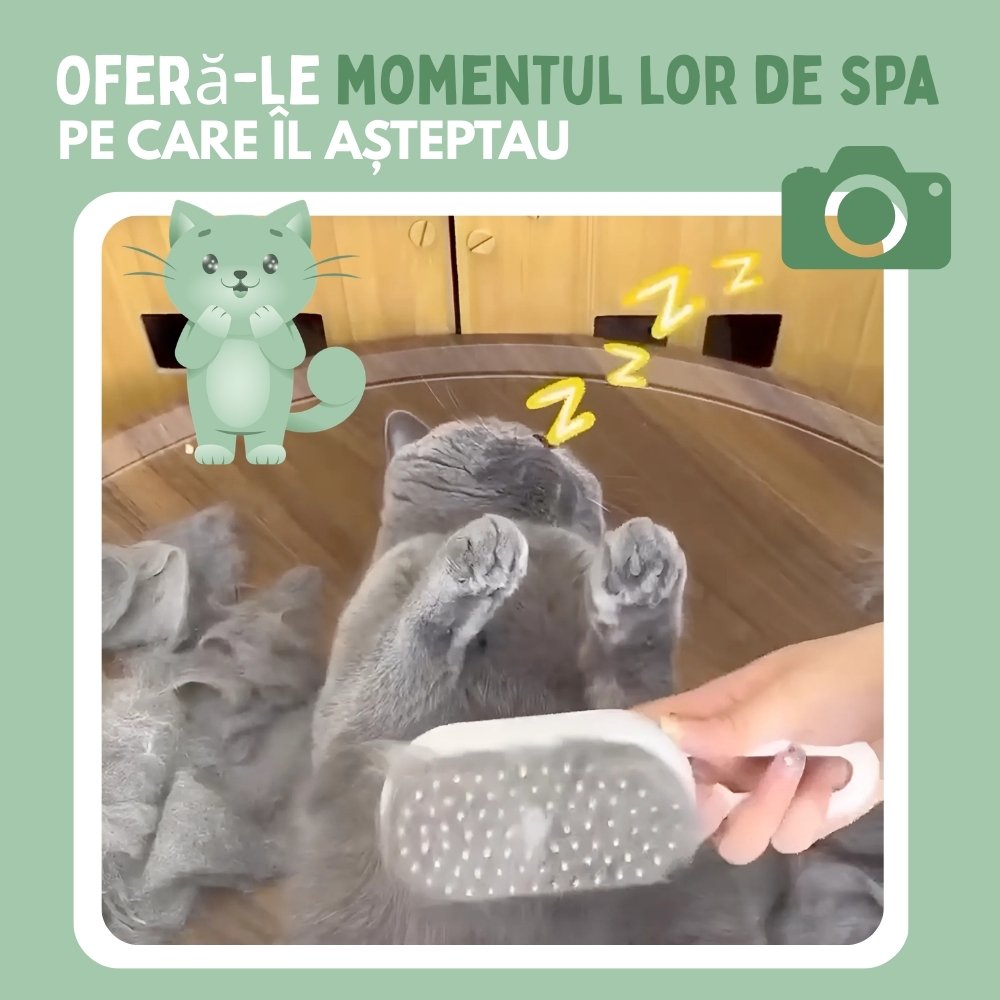 Veluna Steam Brush pentru Pisici