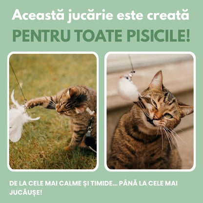 Jucărie interactivă pentru pisici cu pene, suspendată și elastică