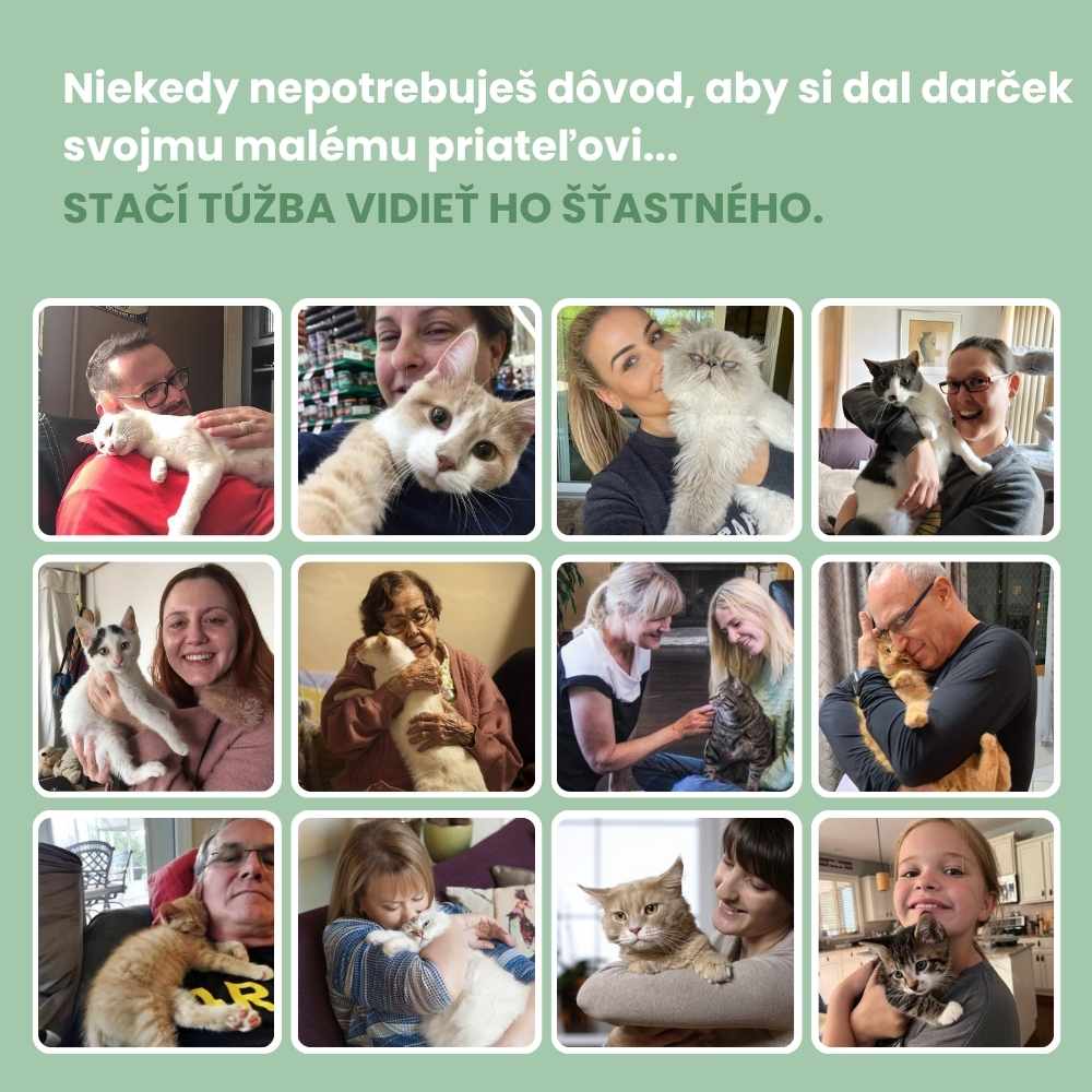 Jucărie interactivă pentru pisici cu pene, suspendată și elastică