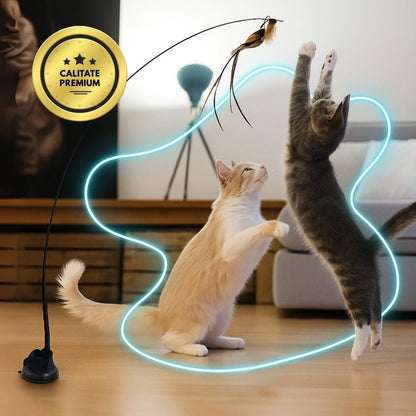 Jucărie interactivă pentru pisici cu pene, suspendată și elastică