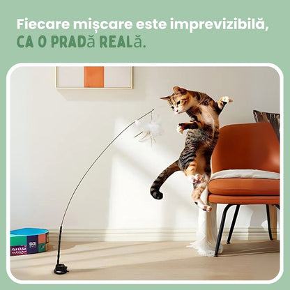 Jucărie interactivă pentru pisici cu pene, suspendată și elastică