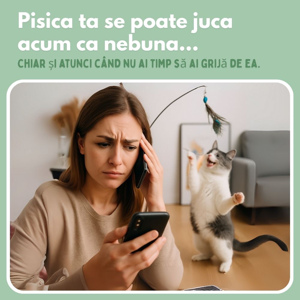 Jucărie interactivă pentru pisici cu pene, suspendată și elastică