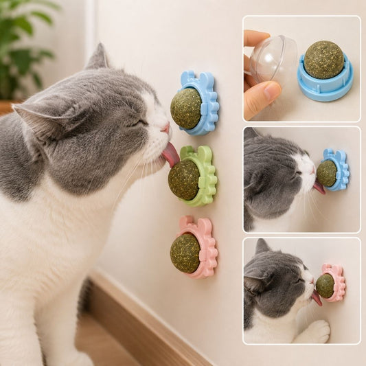 Minge catnip