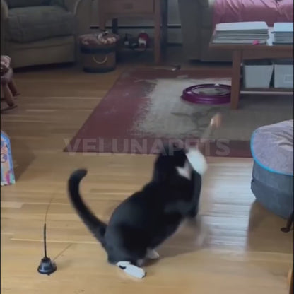 Jucărie interactivă pentru pisici cu pene, suspendată și elastică