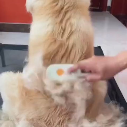 Veluna Steam Brush pentru Câini