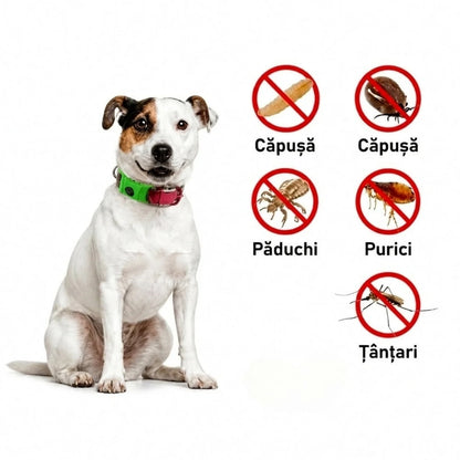 Zgarda Veluna împotriva Puricilor și Căpușelor